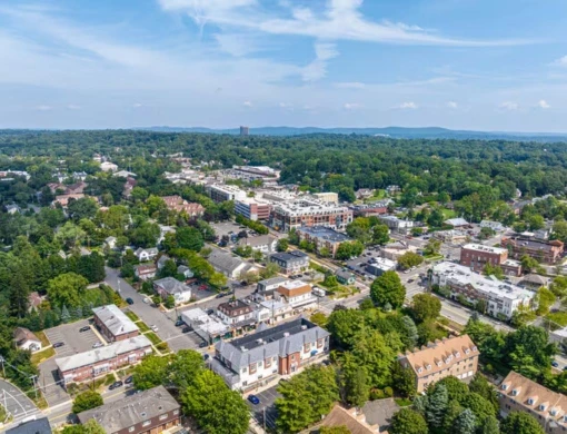 Aerial view of lush residential neighborhoods and commercial buildings in Park Ridge, IL, a primary local service area for Elevate Plumbing.