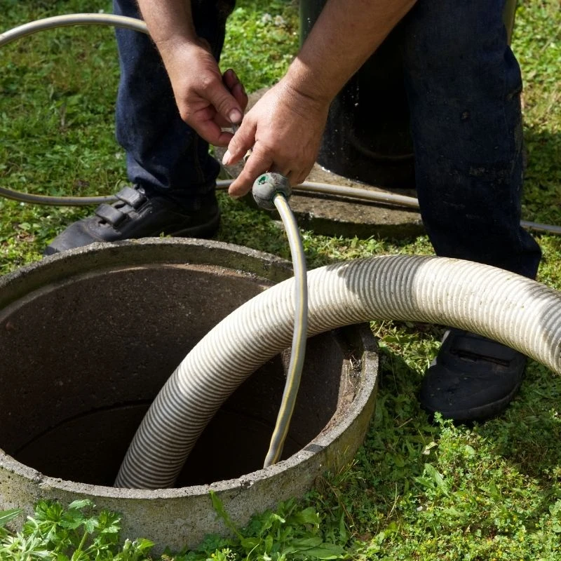 Elevate Plumbing technician feeding a mechanical sewer rodding cable into an outdoor concrete cleanout to clear invasive tree roots in Morton Grove.